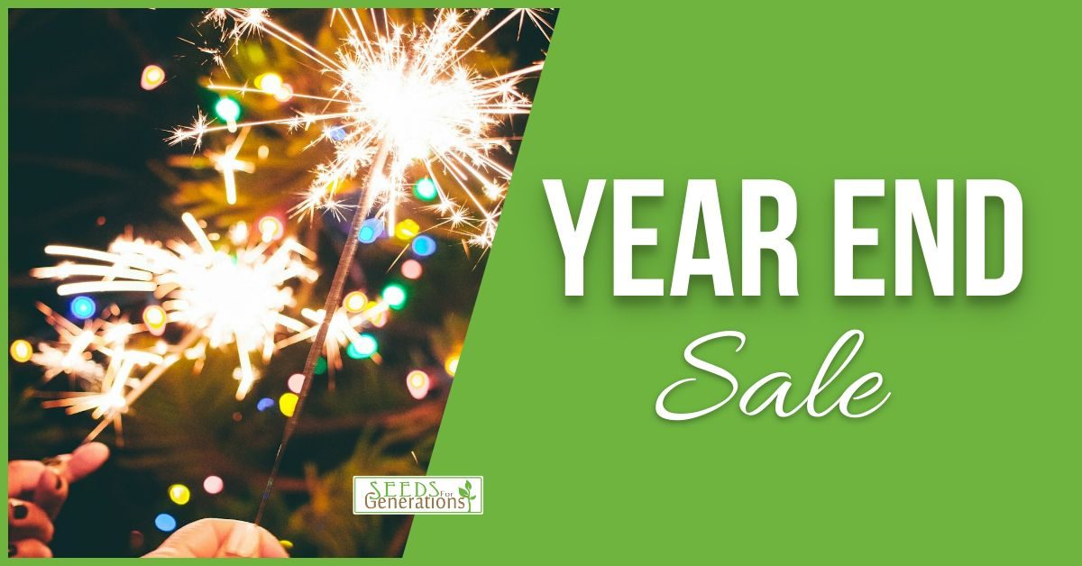 Hands holding sparklers with colorful lights in the background and a green banner on the right side reading "Year End Sale.