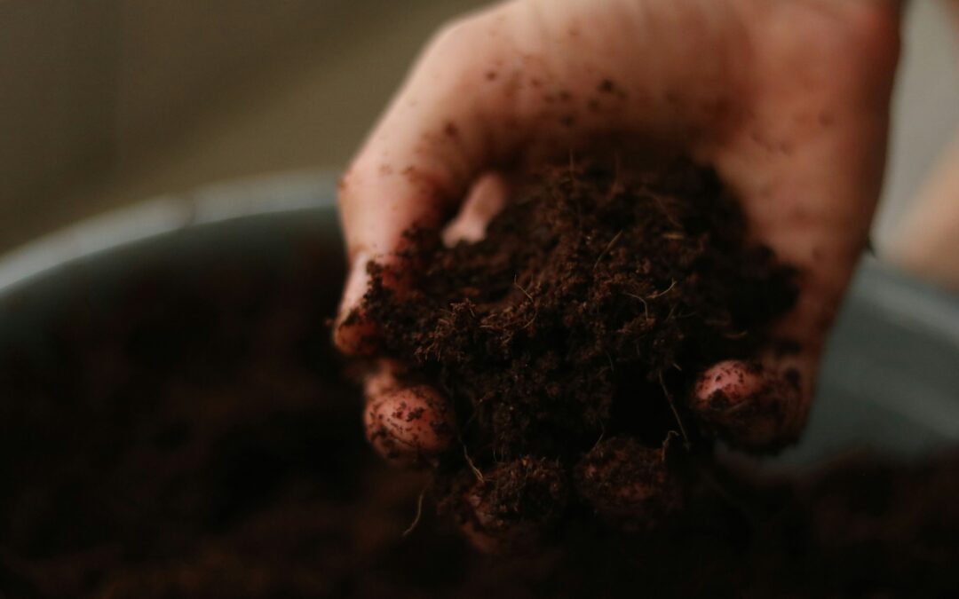 A hand holding a clump of moist, dark soil over a container.