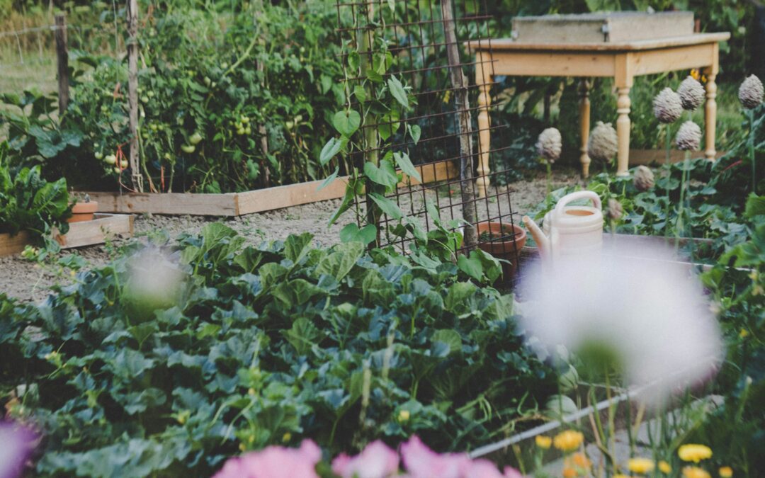 Garden Space Video