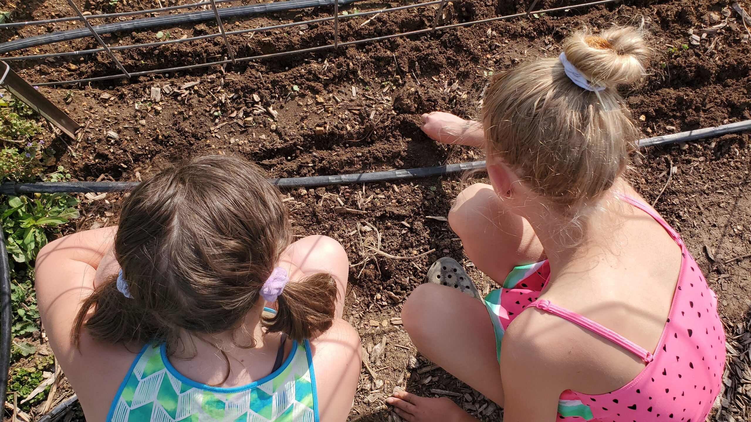 The entire family being silly in the garden.