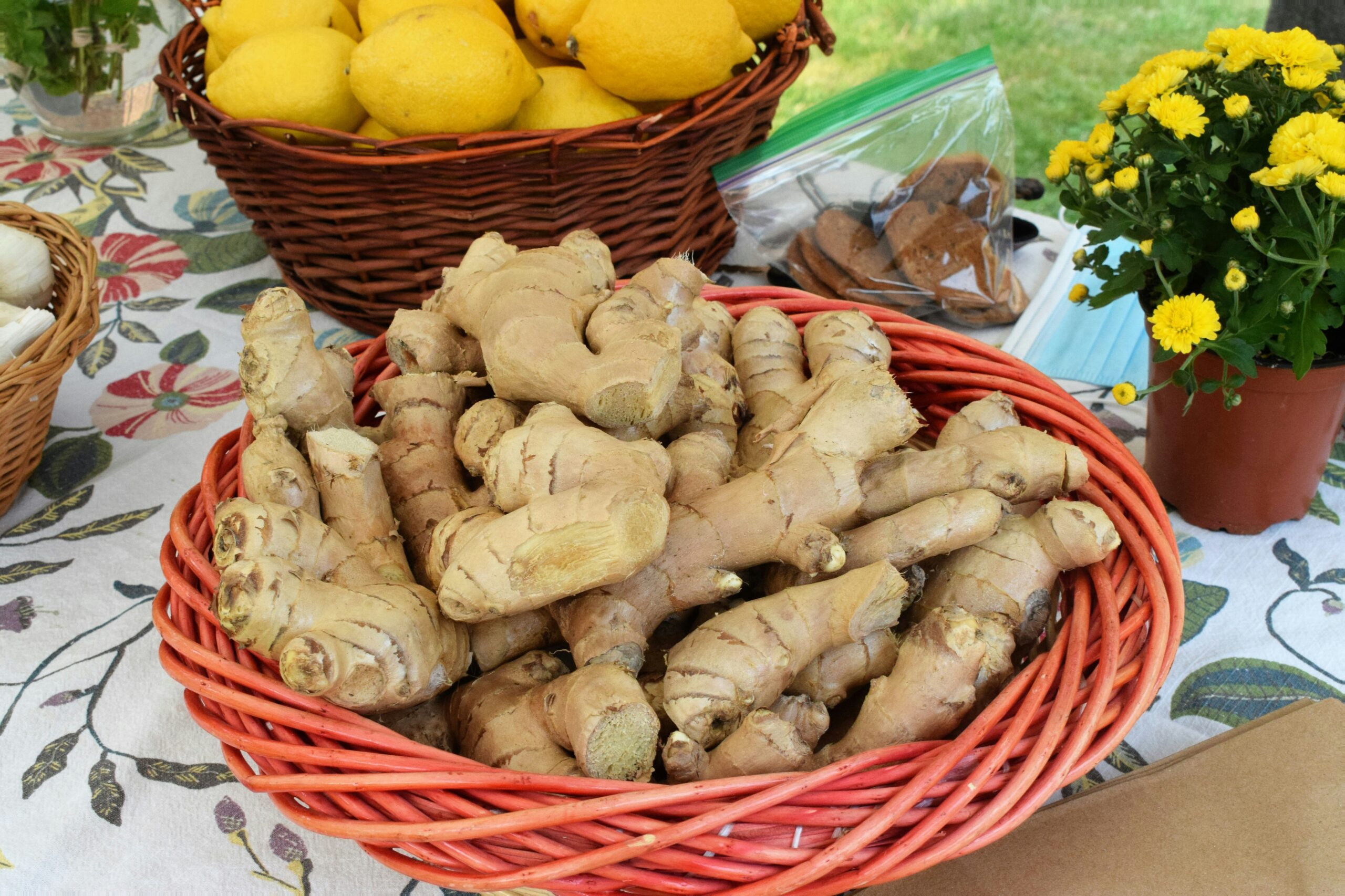 A big basket of ginger roots.