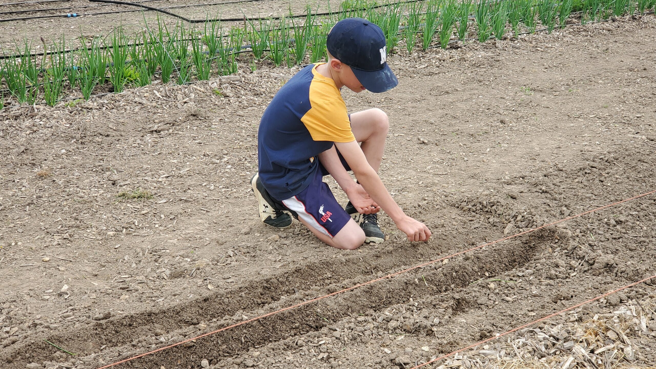 Boy in a baseball cap planting seeds in the garden.