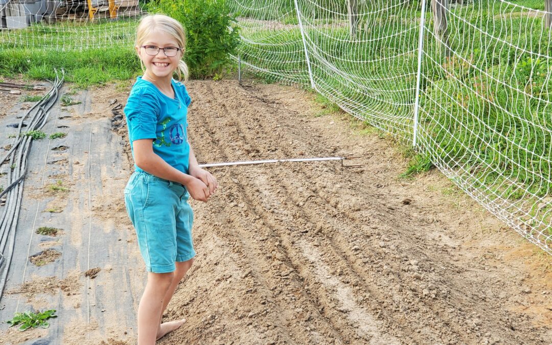 Planting seeds in the garden.