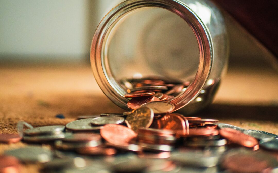 Save Garden Money Video