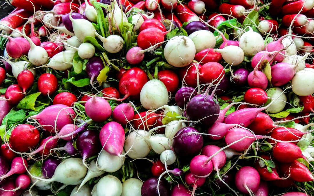A colorful assortment of radishes in various shades of red, pink, purple, and white, with green leaves, piled together—a perfect showcase for anyone interested in radish cultivation.