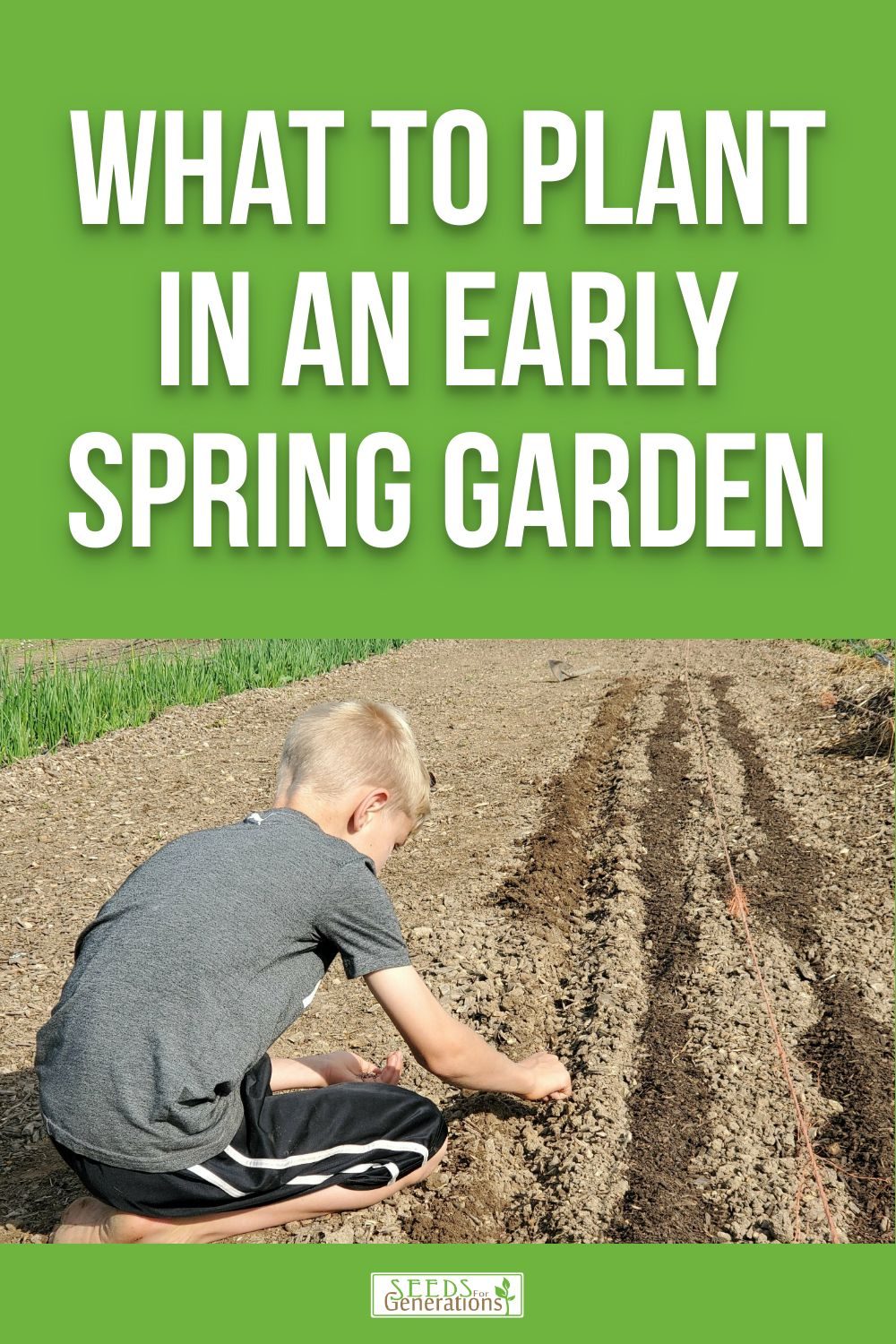 Wondering what to plant in your early spring garden? Here's a list of ideas + tips!<br />
