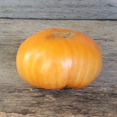 A vibrant Tomato Apricot Brandywine rests on a rustic wooden surface.