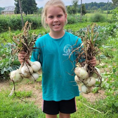 A child in a blue shirt stands in a garden with Onion Plants, Super Star, smiling at the camera while holding bunches of harvested onions.