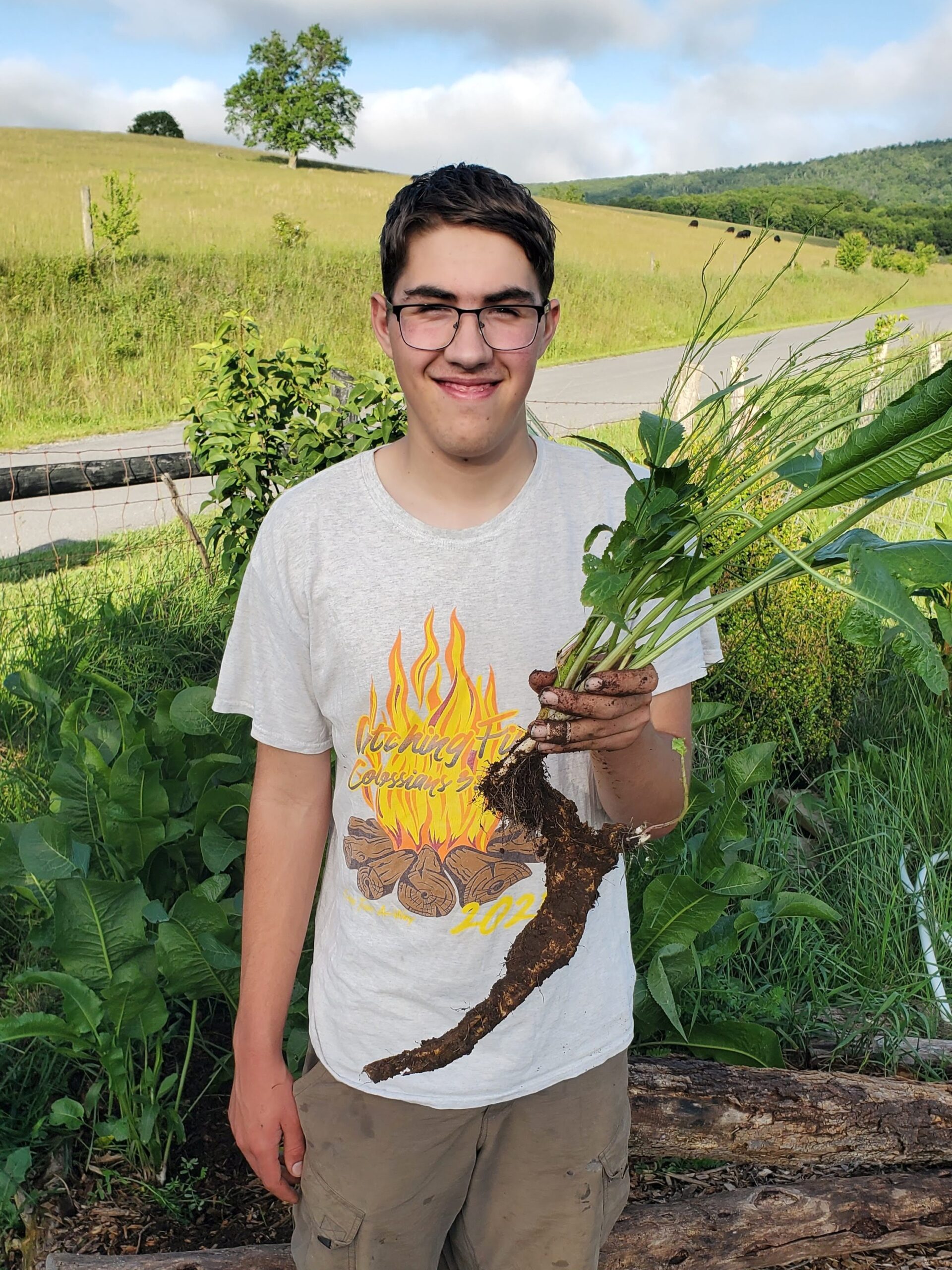 Horseradish Elijah A young person wearing glasses and a white t-shirt stands outdoors, holding up a large Horseradish Crown with green leaves. A grassy field and road are visible in the background.