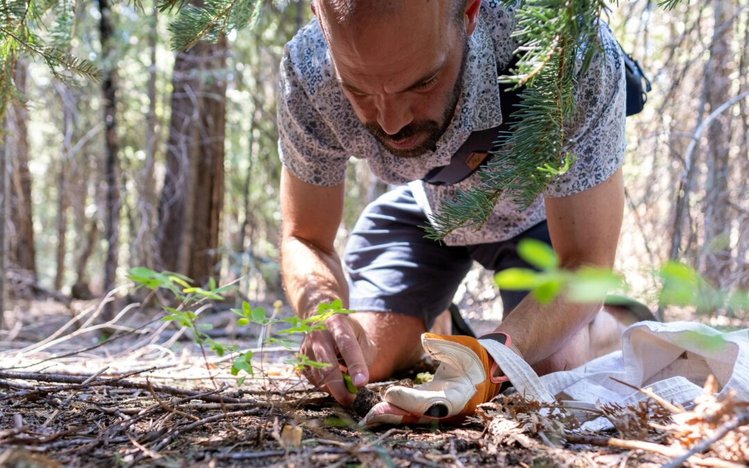 Foraging Video