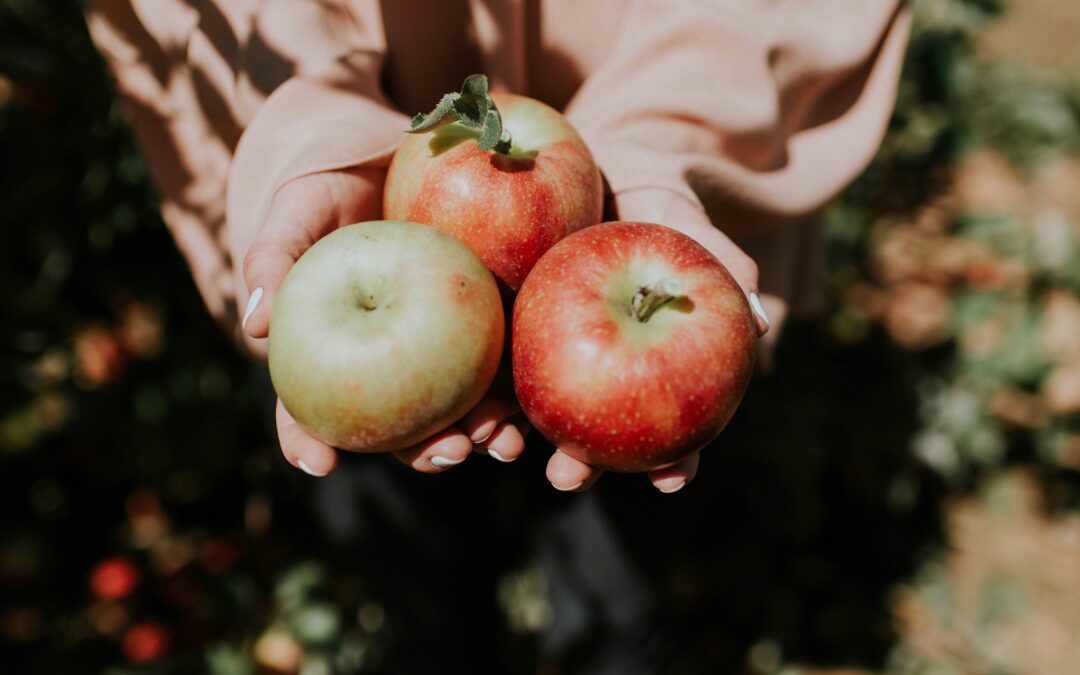 Apple Tree Grafting Video