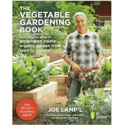 A man stands in a raised bed vegetable garden holding a basket of colorful greens; he is reading The Vegetable Gardening Book by Joe Lamp'l.