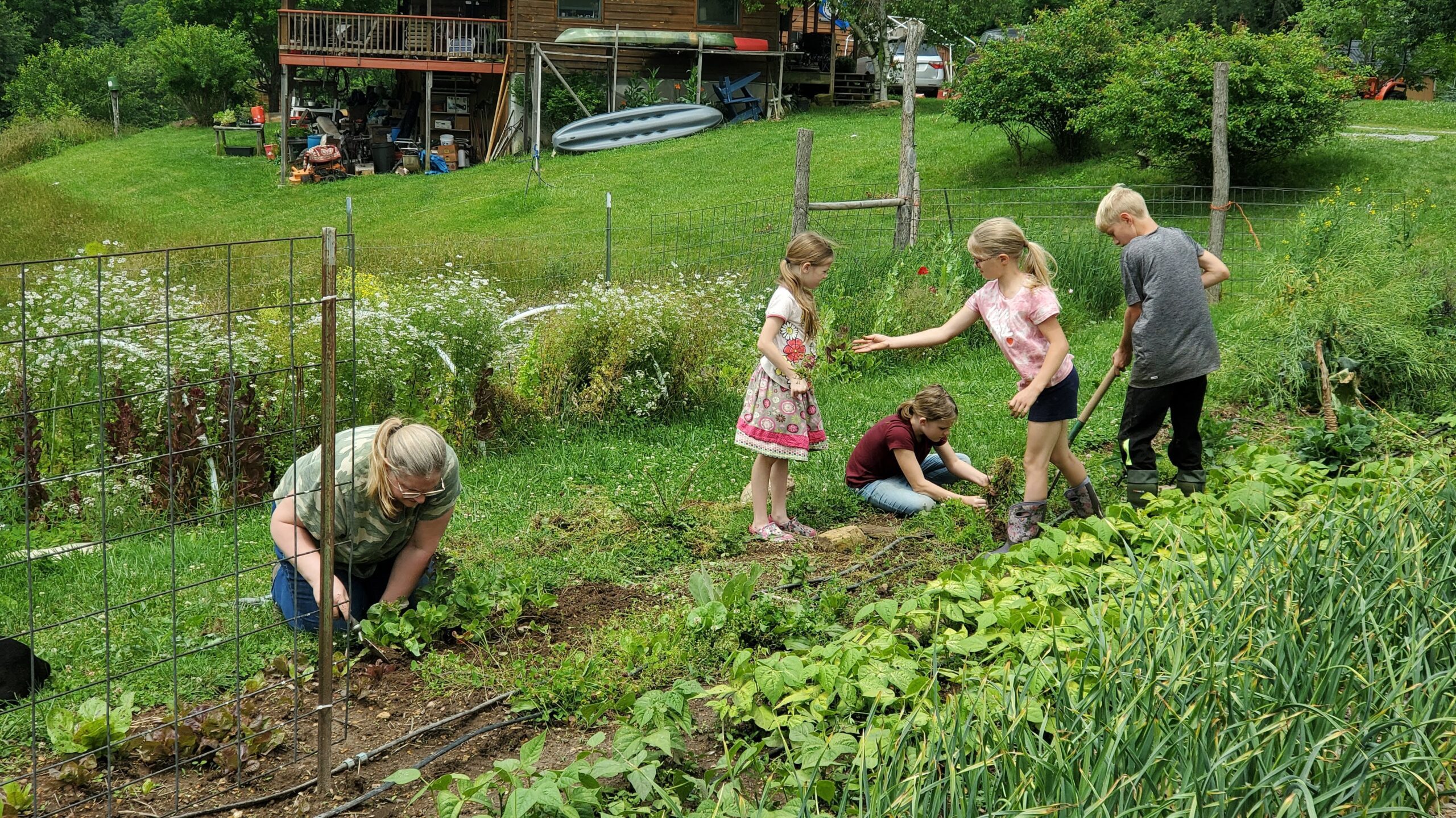 Five children are working together in a vegetable garden, pulling weeds and tending plants, with a grassy yard and a house in the background.