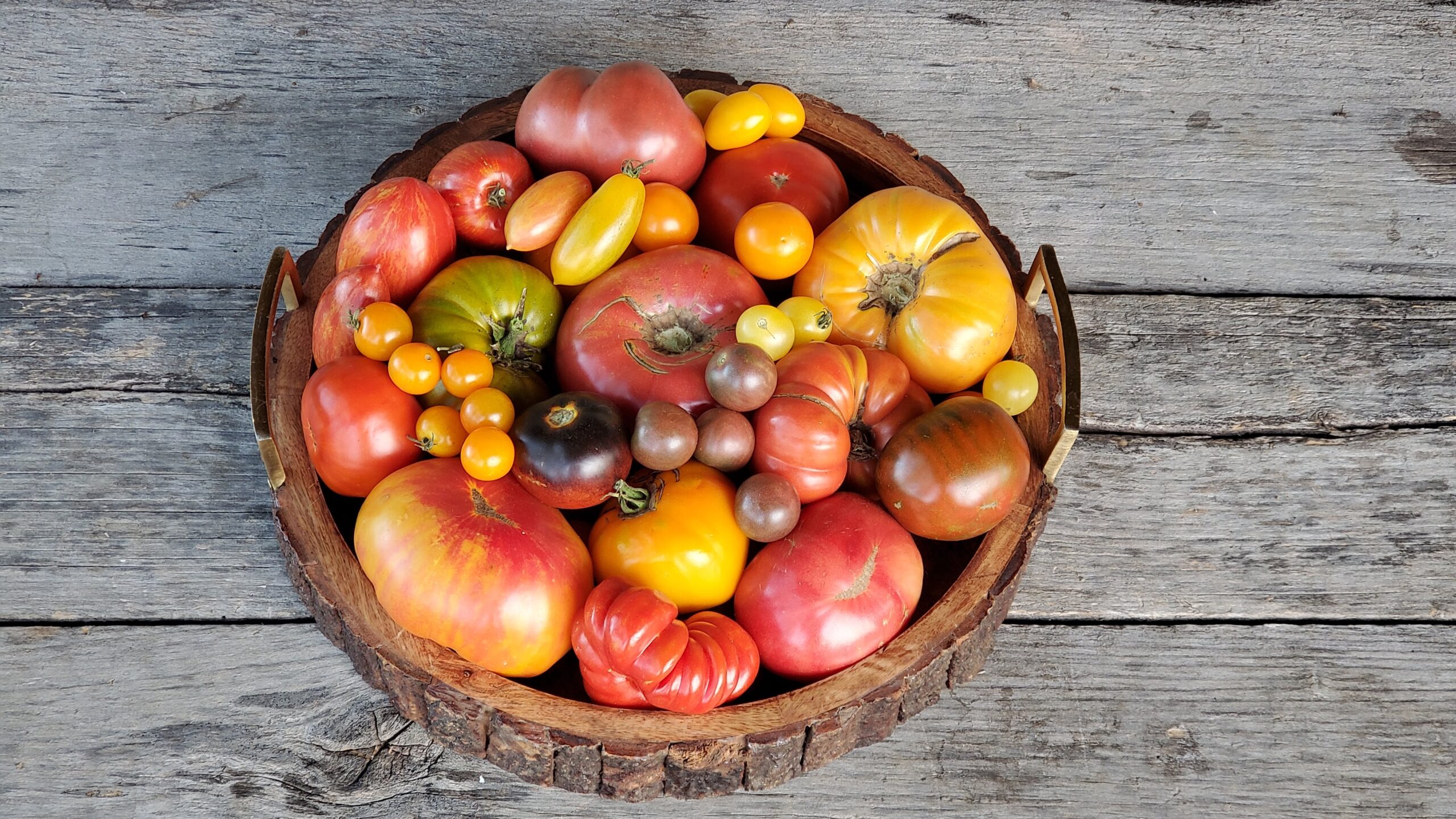 A round wooden basket filled with assorted heirloom tomatoes in various shapes, sizes, and colors, placed on a rustic wooden surface.