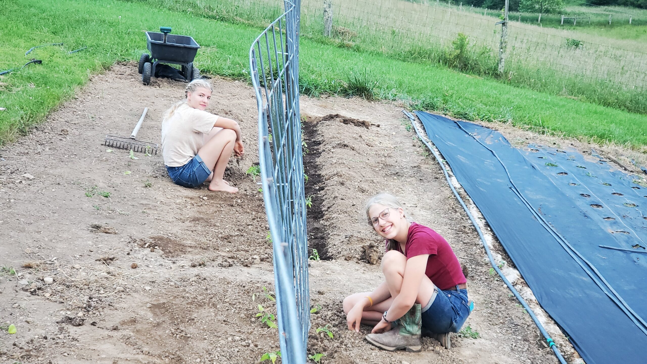 Two people are kneeling and working in a garden beside a metal trellis, with gardening tools and a cart nearby on a grassy, fenced property.