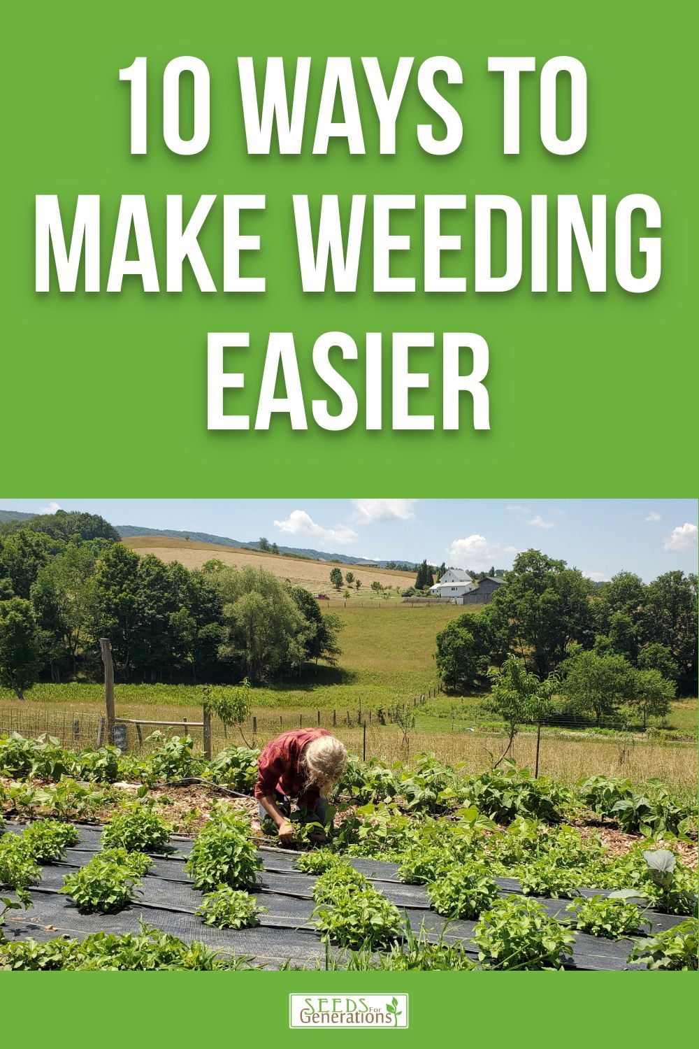 Learn 10 ways to make weeding easier in the garden this year. Start now! 