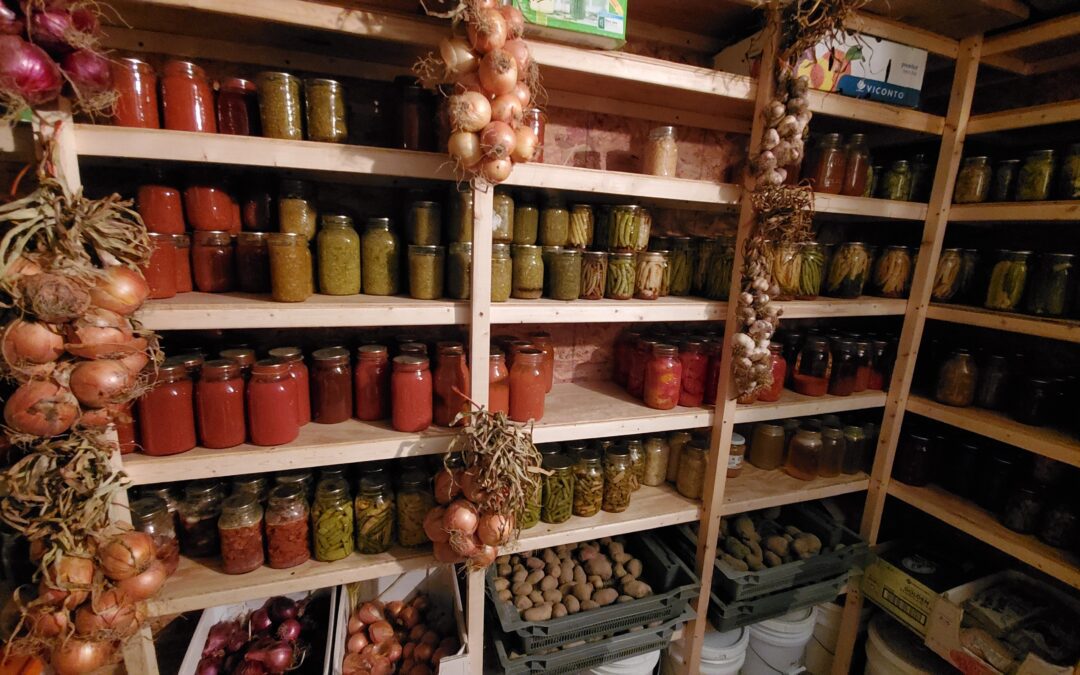 Which Method to Pick? Food Preservation Methods Compared.
