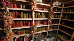 Shelves in a storage room stocked with jars of preserved vegetables, hanging onions and garlic, crates of potatoes, and various canned goods showcase traditional food preservation methods and effective food storage.