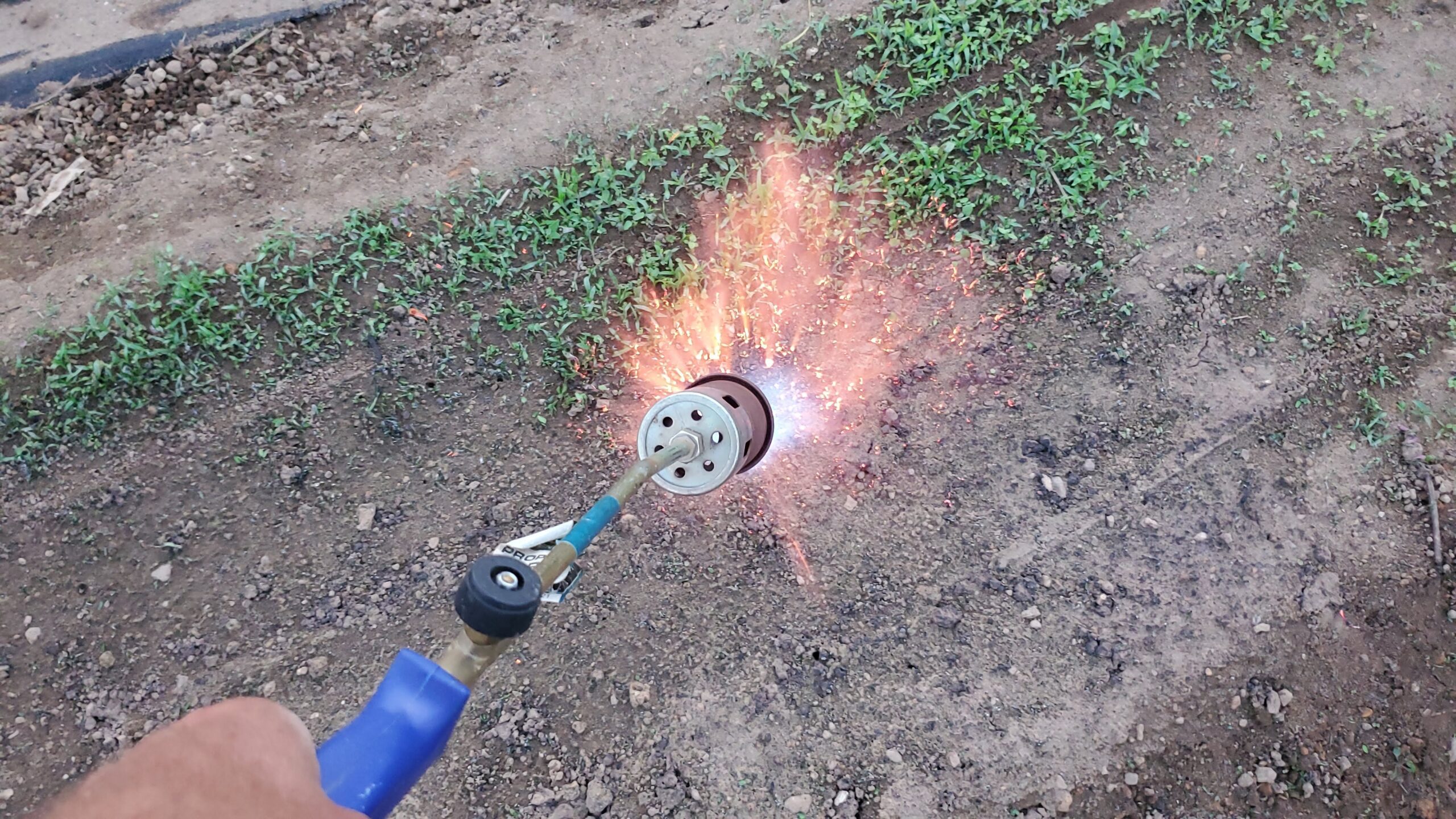 A handheld flame weeder emits a burst of fire onto a patch of weeds in a garden bed, scorching the plants to control their growth.