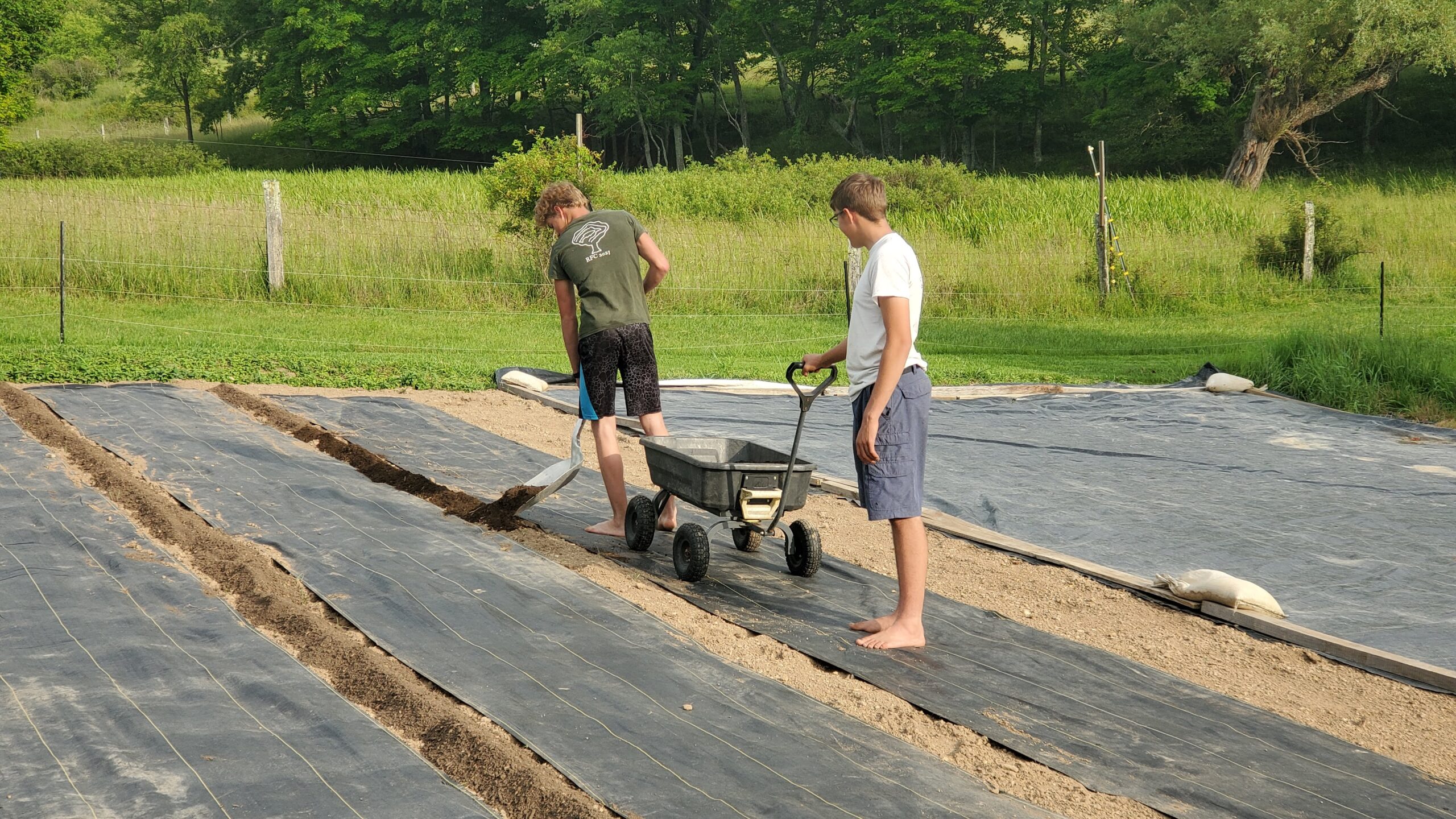 Two people work in a garden; one digs a trench in the soil while the other stands nearby holding the handle of a wheeled seed spreader, demonstrating how to control weeds effectively.