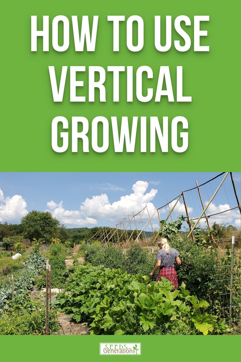 Learn how to use vertical growing in your garden for fitting more plants into a small space, increasing airflow around plants, and making harvests easier on your back! 