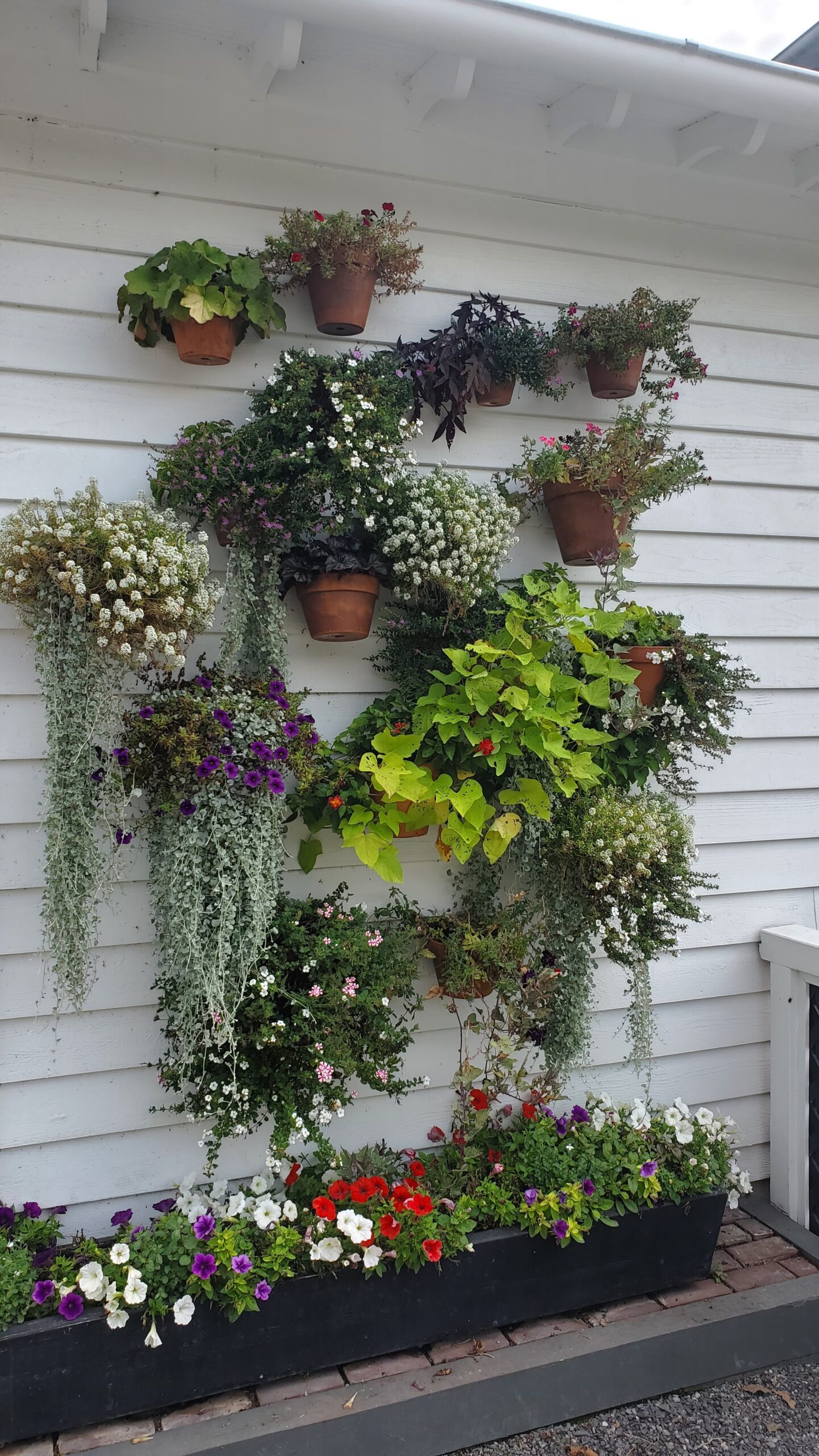 A vertical garden with various potted plants and flowers arranged on a white wooden wall, with a planter box at the bottom containing colorful blooms.