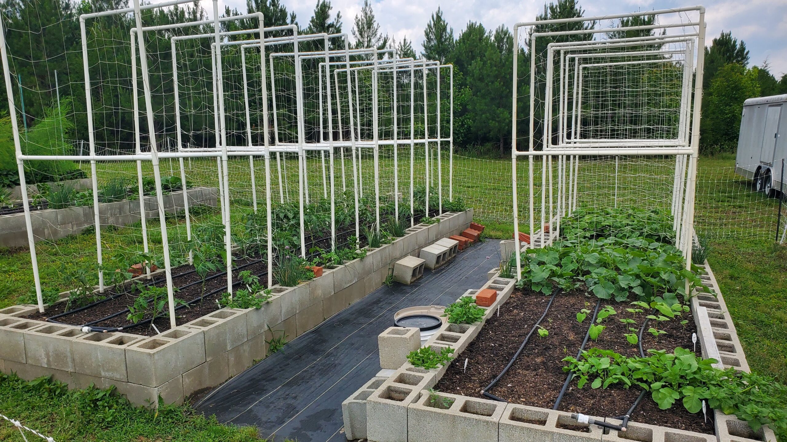 Two raised garden beds made of cinder blocks with trellises and various plants growing, set in a grassy outdoor area with trees in the background.