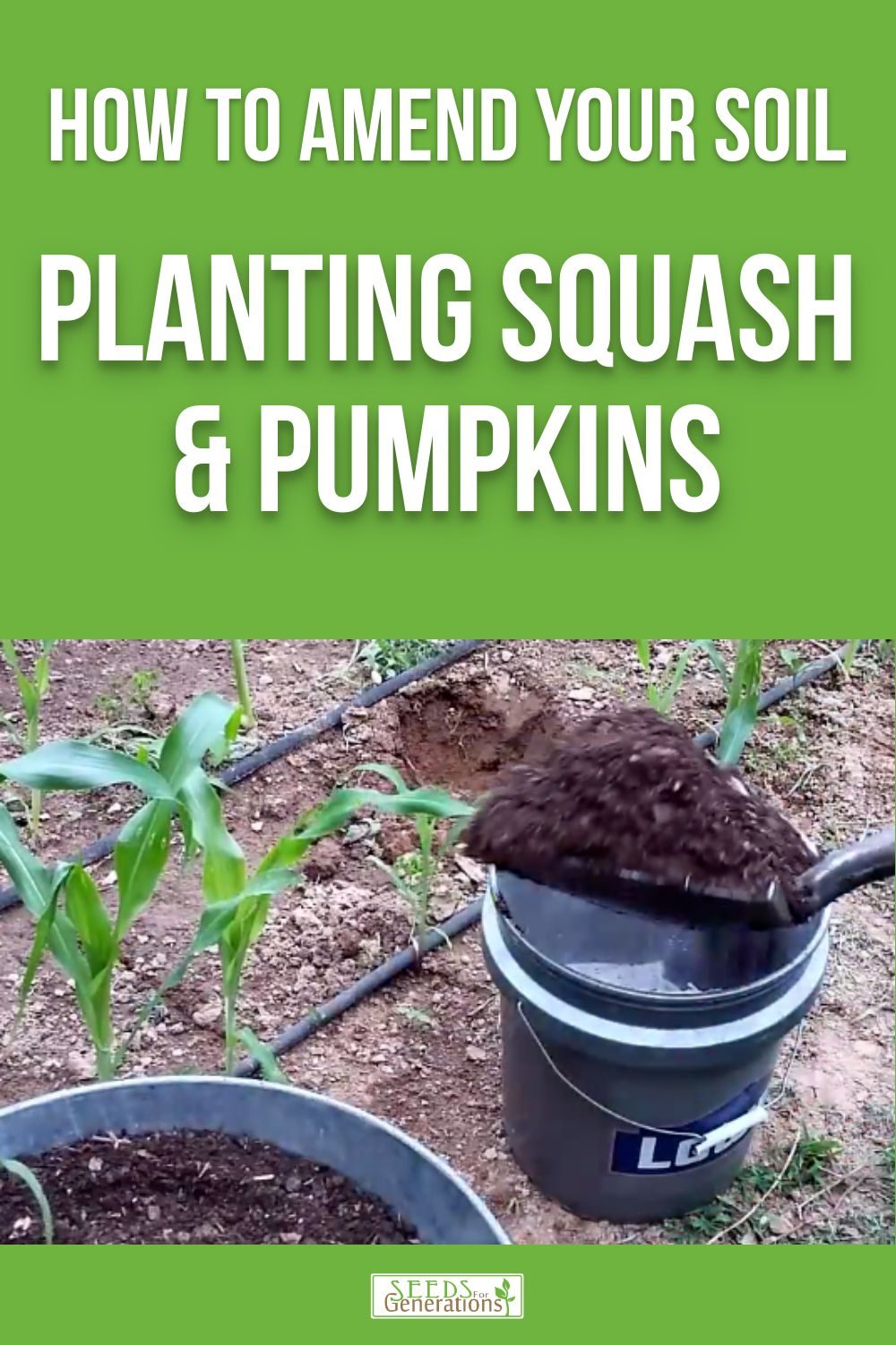 Learn an easy way to amend your soil WHILE planting squash and pumpkins this year. 