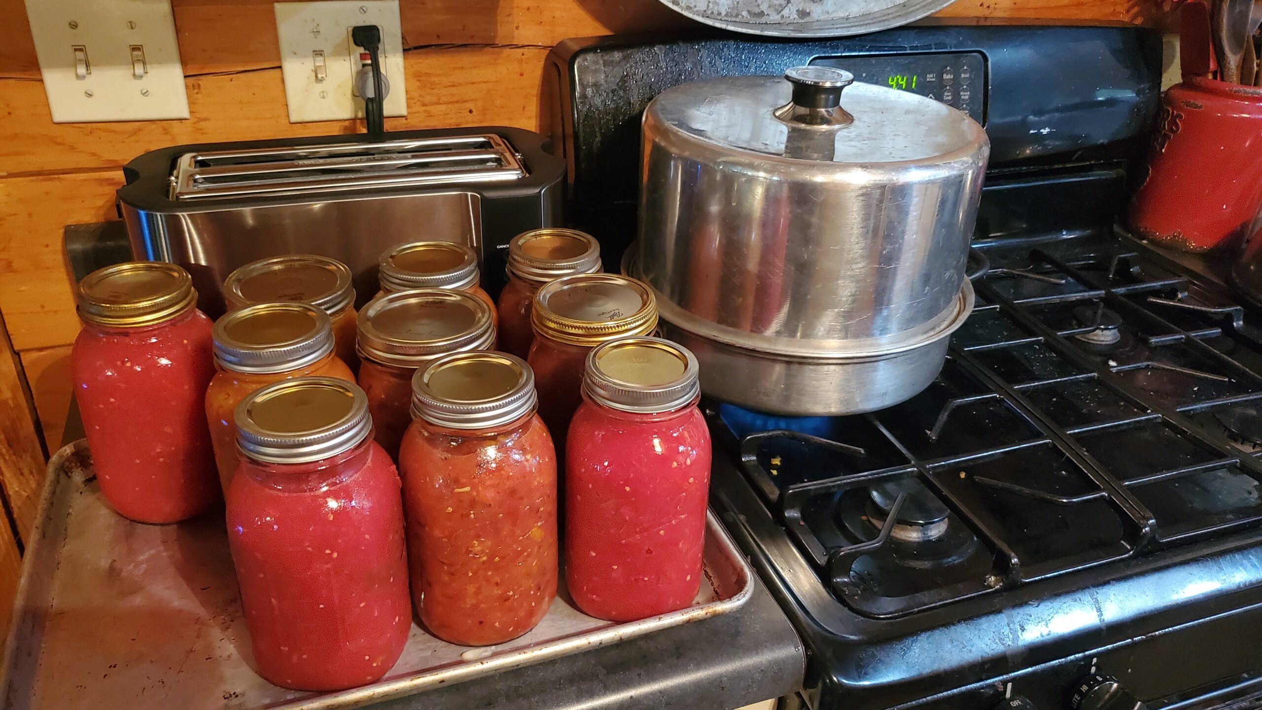 Nine jars of homemade tomato sauce are cooling on a tray next to a stovetop pressure cooker in a kitchen with a toaster and red utensils.