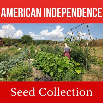 A gardener tends a vibrant vegetable patch under a clear sky, with "American Independence Seed Collection" above and below the image, embodying the patriotic spirit of American Independence through gardening.